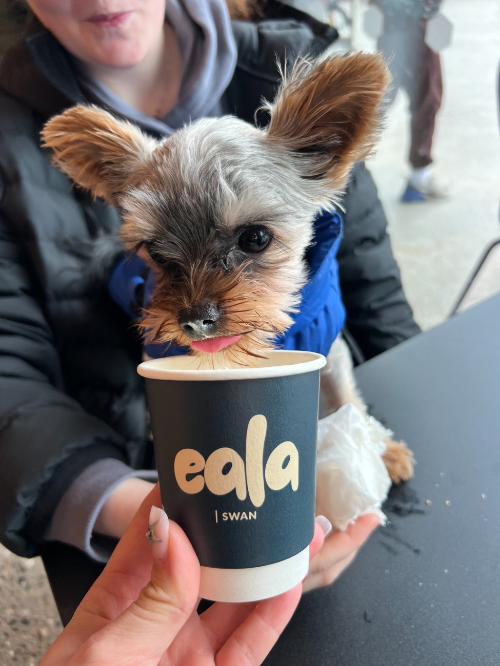 Eala Cafe gallery 22