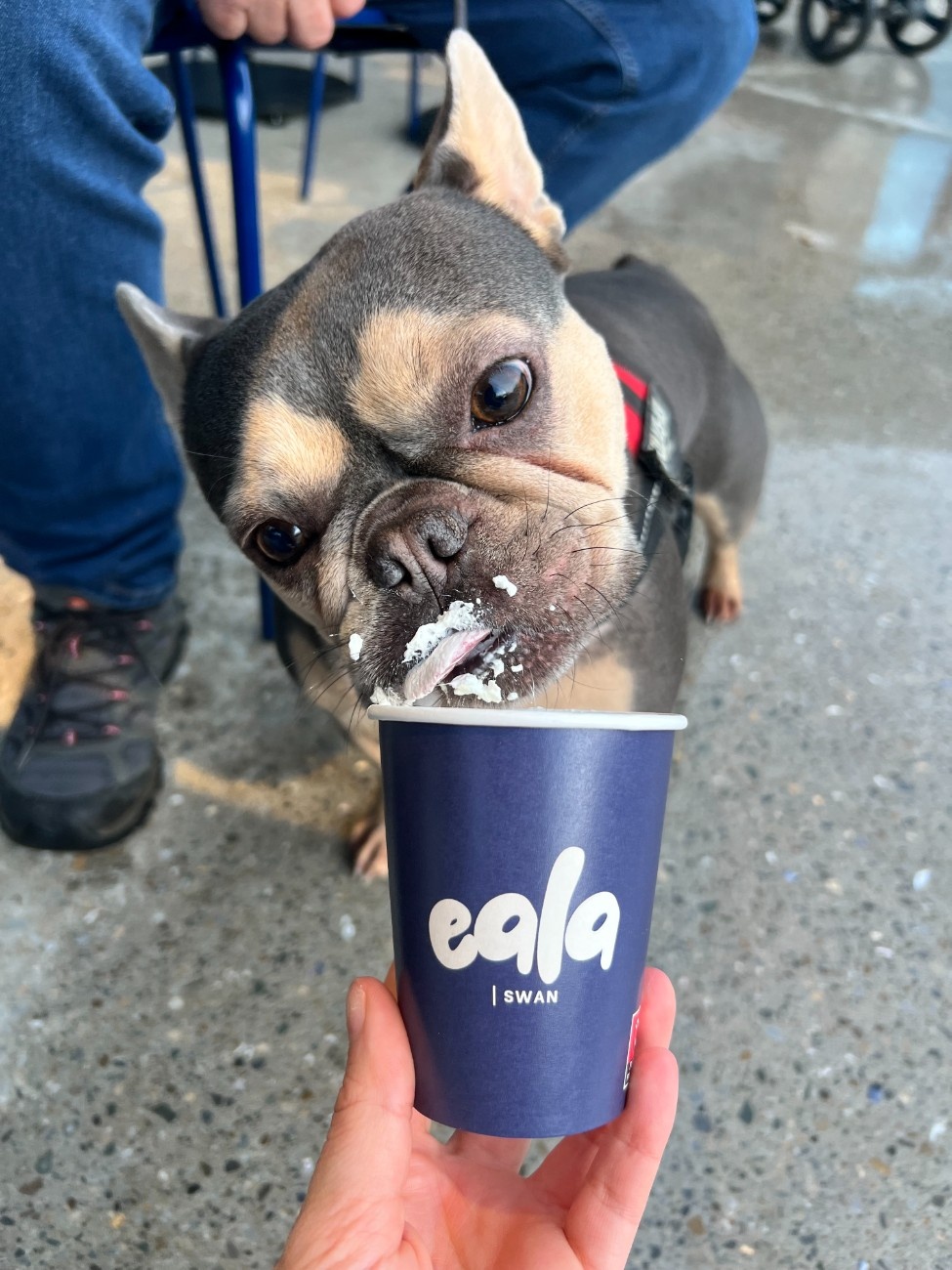 Eala Cafe gallery 18